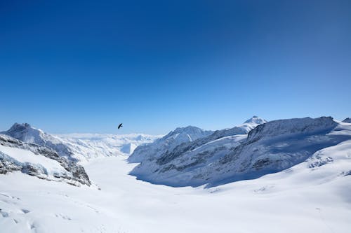 Безкоштовне стокове фото на тему «блакитне небо, застуда, зима»