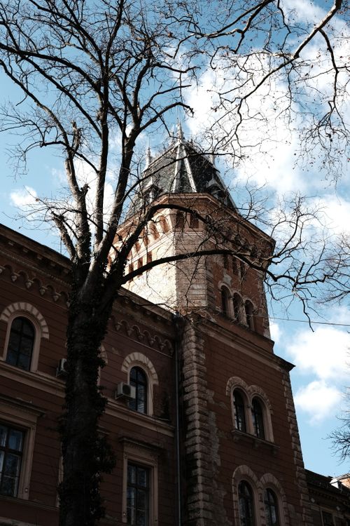Free A historic tower in Sombor, Serbia, captured in a low-angle shot with bare winter branches. Stock Photo