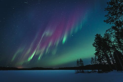 ağaçlar, Aurora borealis, duvar kağıdı içeren Ücretsiz stok fotoğraf