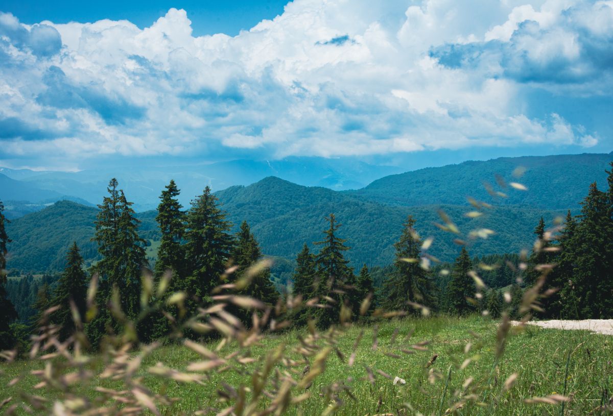 Munți, pajiște și pădure de brad în zona Poiana Brașov