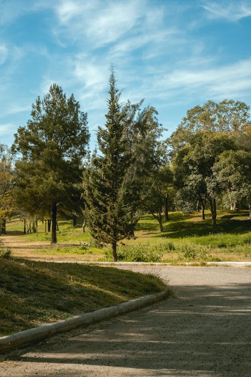 A paved road with trees and grass in the background