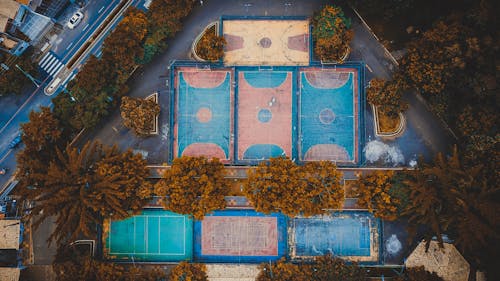 Free Basketball Courts Near Trees and Road Stock Photo