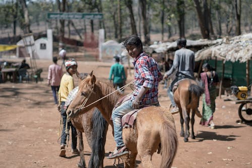 인도에서 말 타기