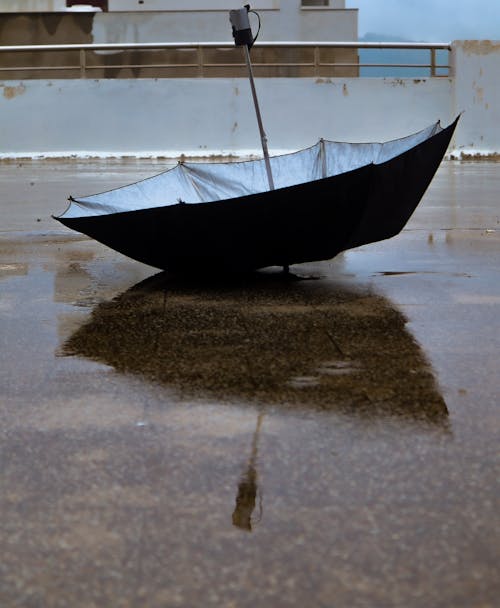 Základová fotografie zdarma na téma deštník, kaluž, městský