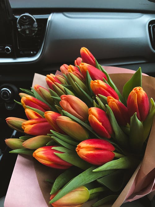 A bouquet of orange tulips sitting in a car
