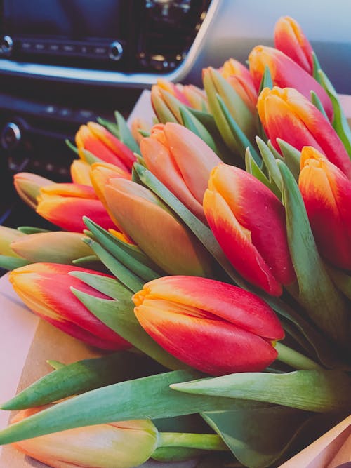 A bouquet of orange and yellow tulips sitting in a car