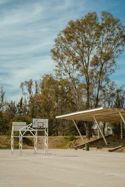 A basketball court with a bench and a tree