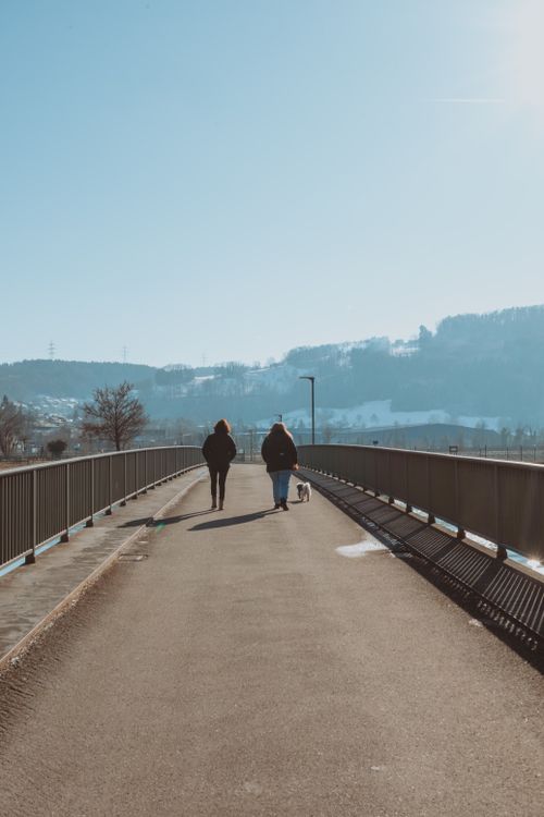 Free Two people walking a dog on a snowy bridge on a clear winter day. Stock Photo