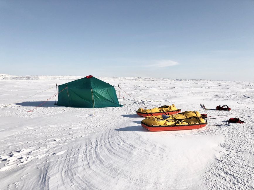 Choosing the Best Travel Insurance for Polar Expedition Holidays UK 2026