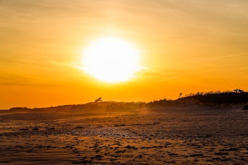 A person walking on the beach at sunset