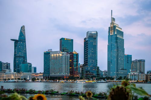 A city skyline with buildings and sunflowers