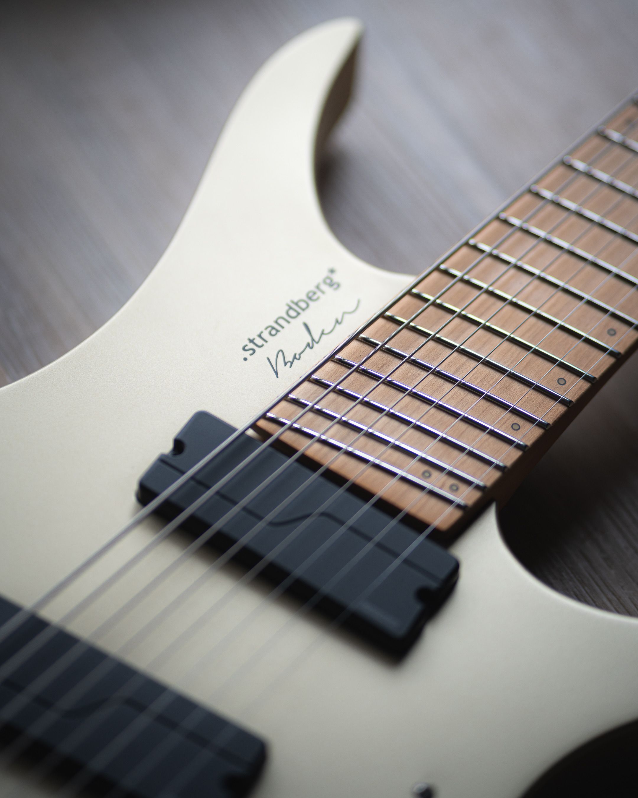 Close-up of a Strandberg Guitar · Free Stock Photo