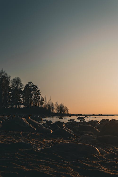 A sunset over the ocean with rocks and trees