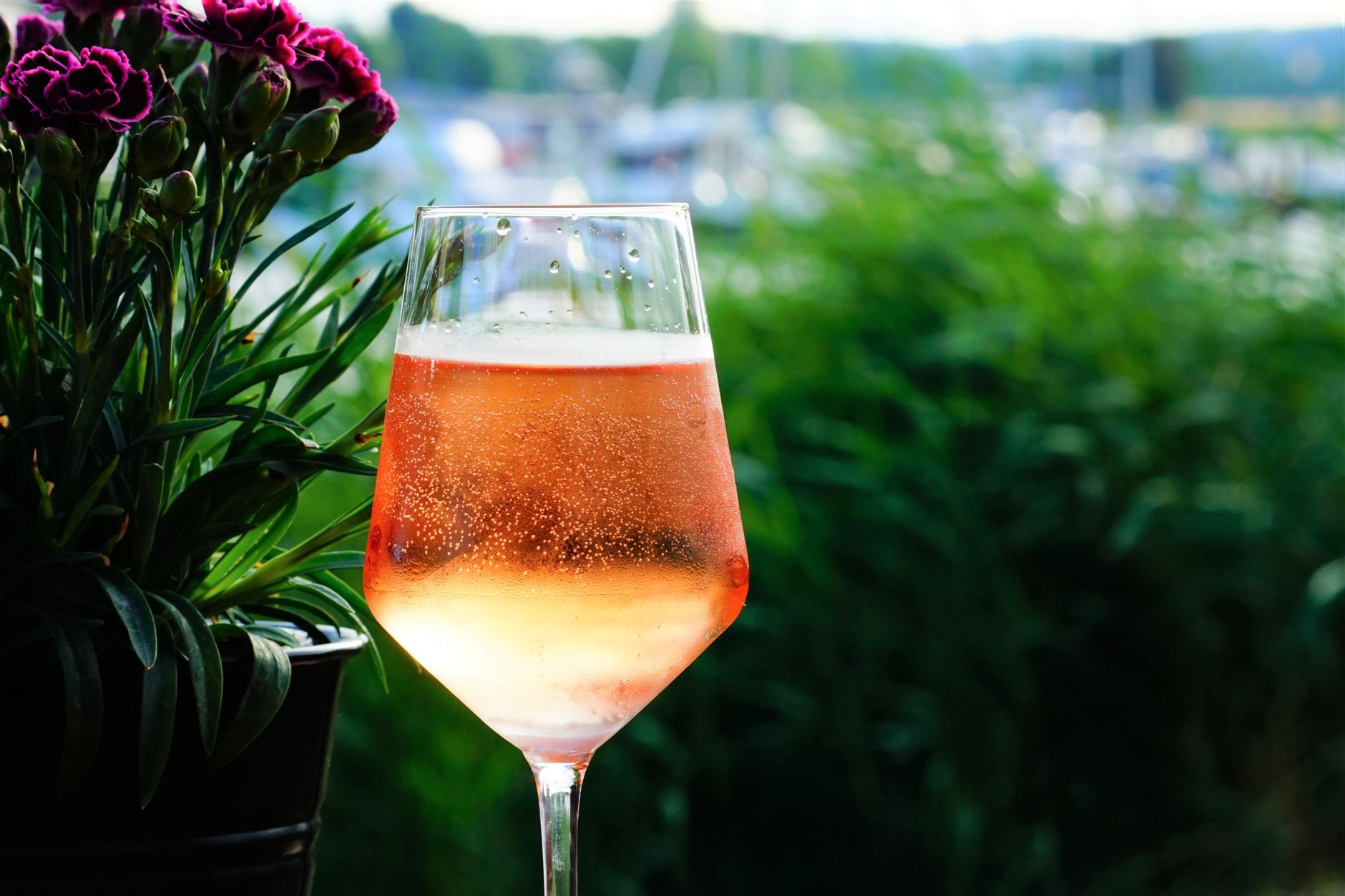 Close-up of a bottle and glass of sparkling wine with tiny bubbles rising