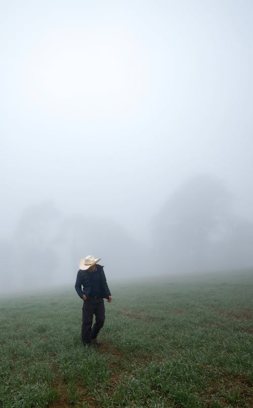 Kostnadsfri bild av cowboy, dimma, grässlätt