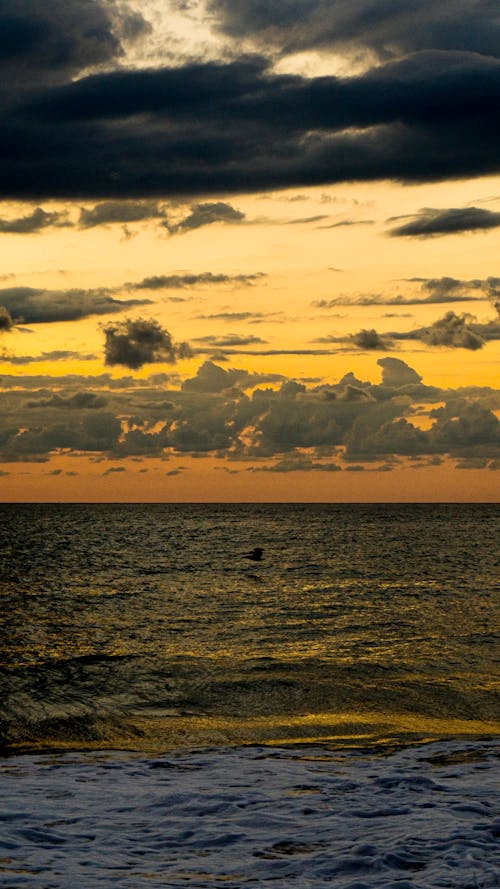 A person is surfing on the beach at sunset