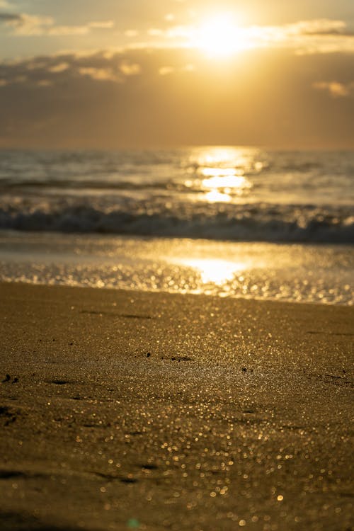 Free stock photo of gold, sand, sun