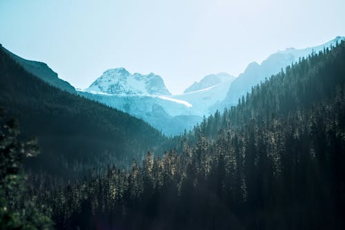 A mountain range with trees and snow covered mountains