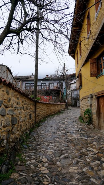 Yıldırım Gezi Rehberi