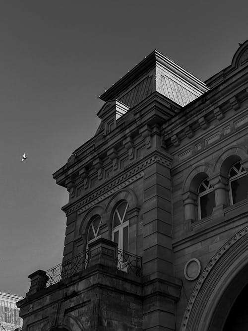 Black and White Shot of the Facade of a Townhall 
