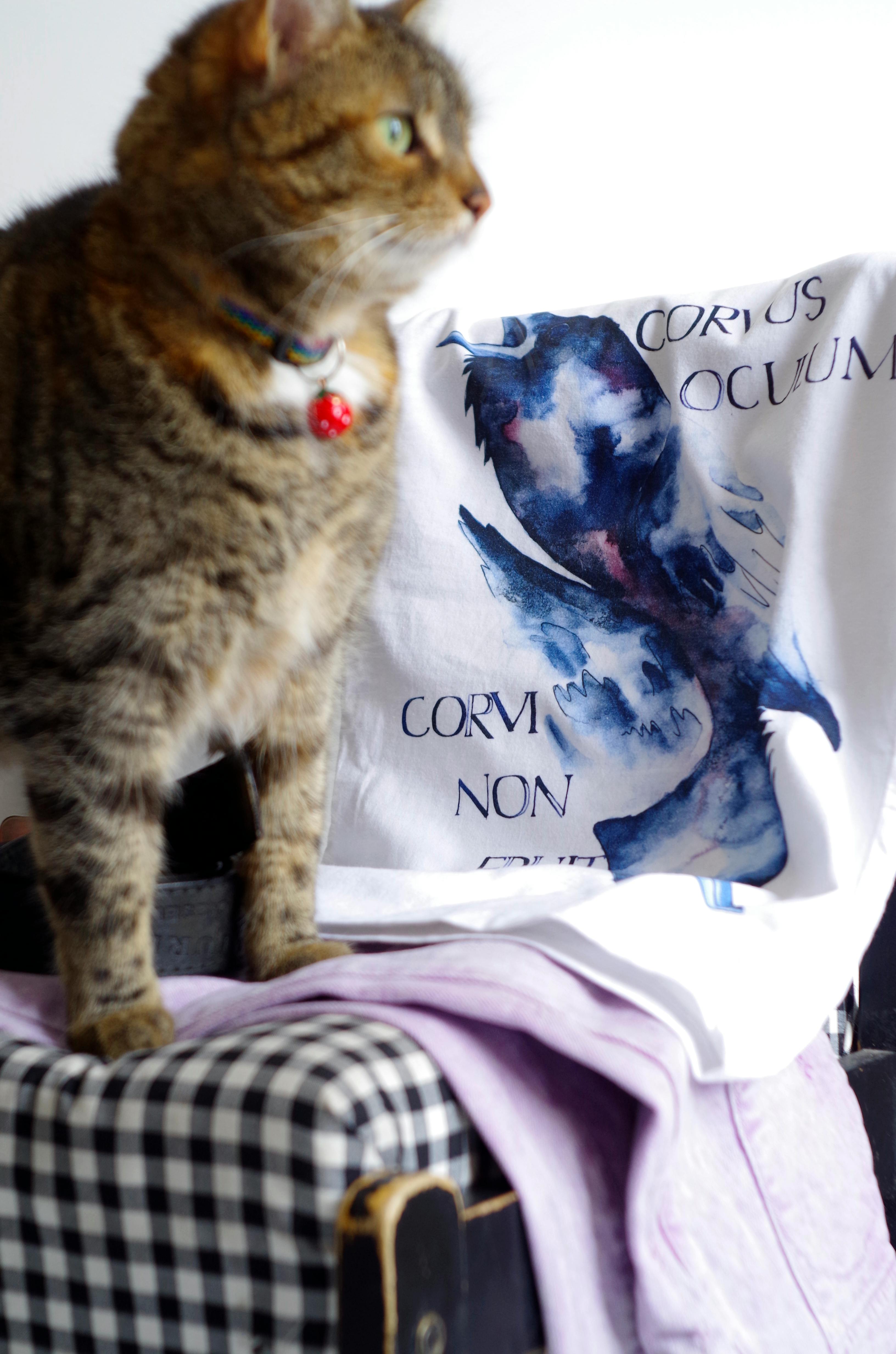 Hands holding broken pieces forming beautiful mosaic