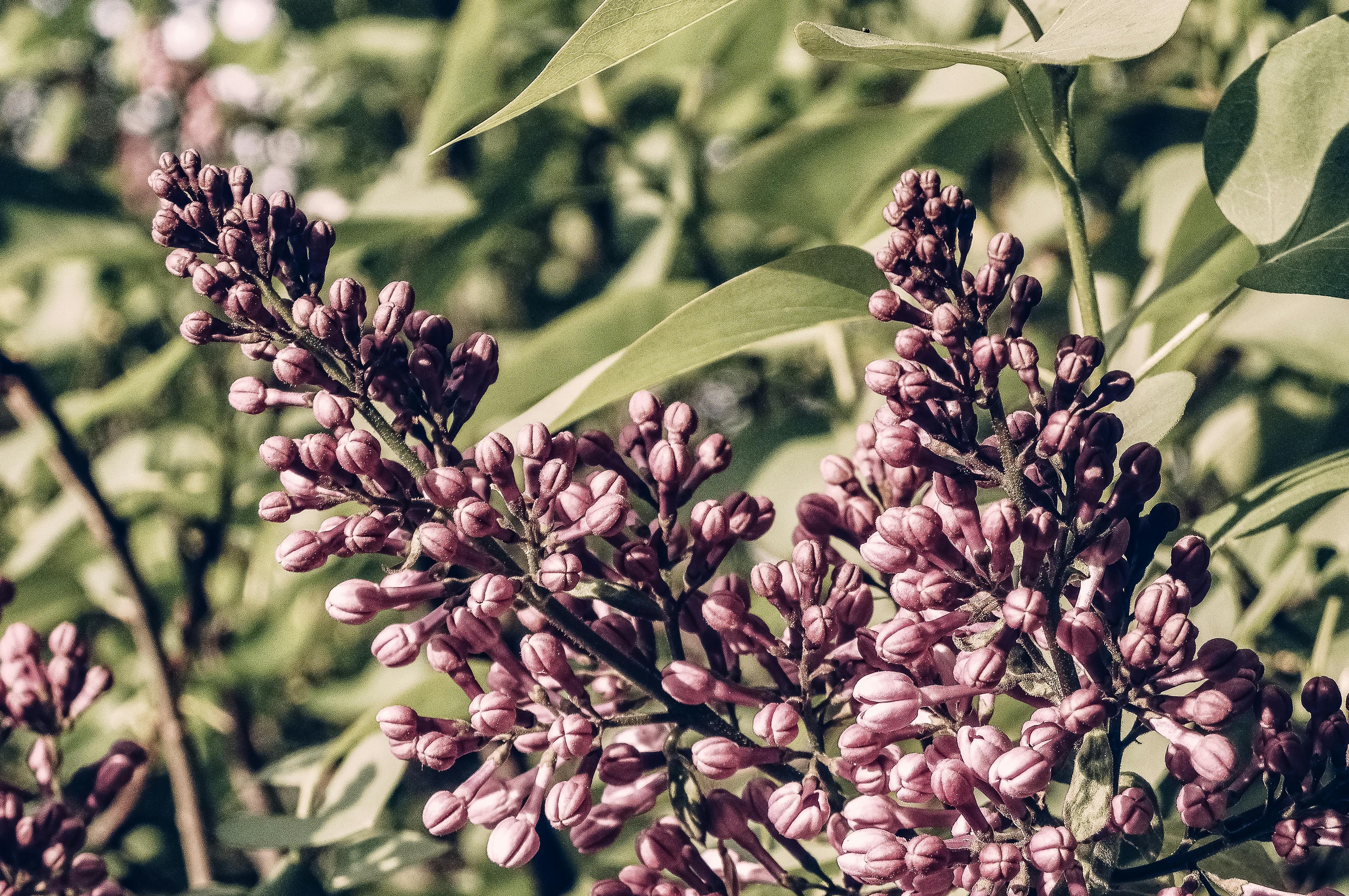 Person climbing mountain representing overcoming life challenges