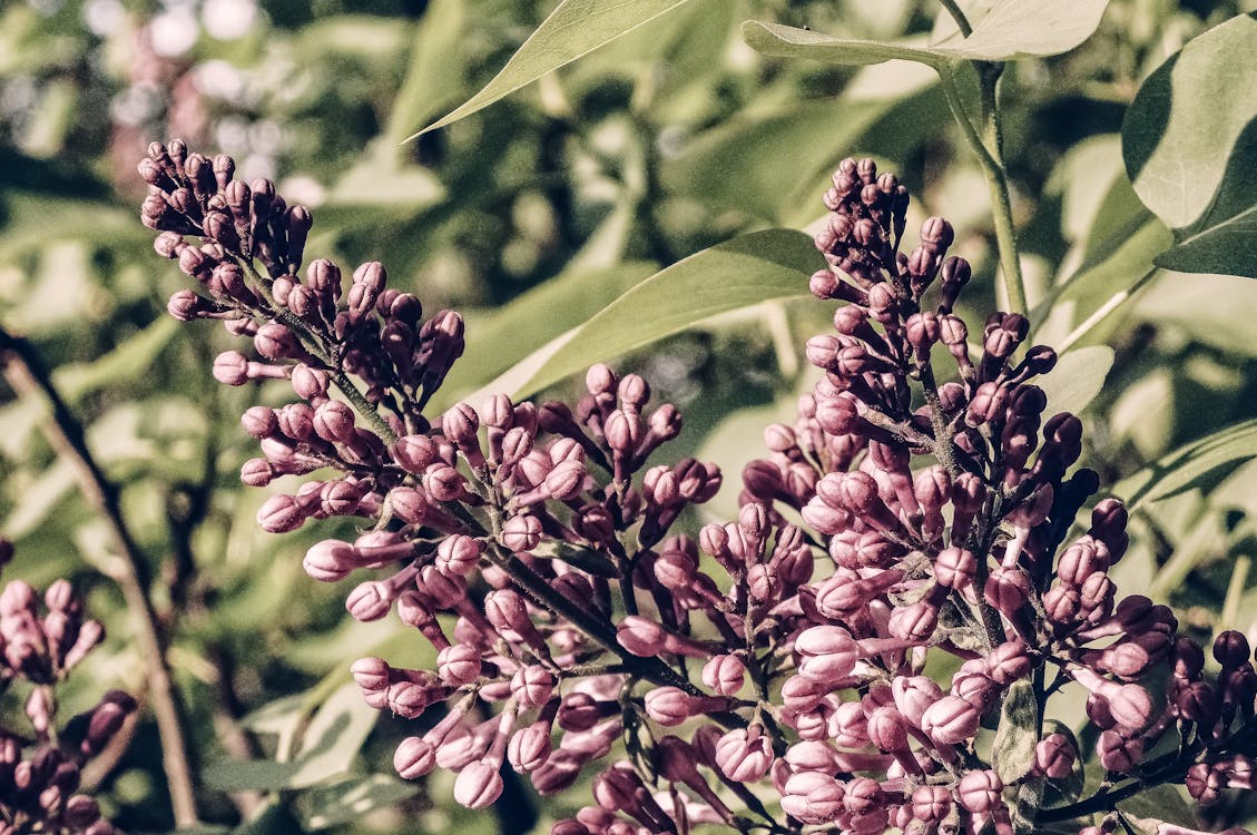 Person climbing mountain representing overcoming life challenges