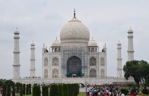 Imagine de stoc gratuită din agra, arbori, artă