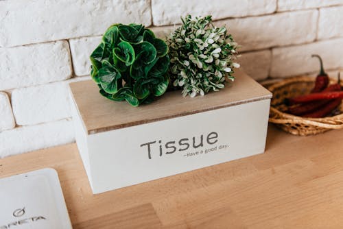 Plants on Tissue Box Beside Chili on Basket