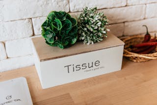 Plants on Tissue Box Beside Chili on Basket