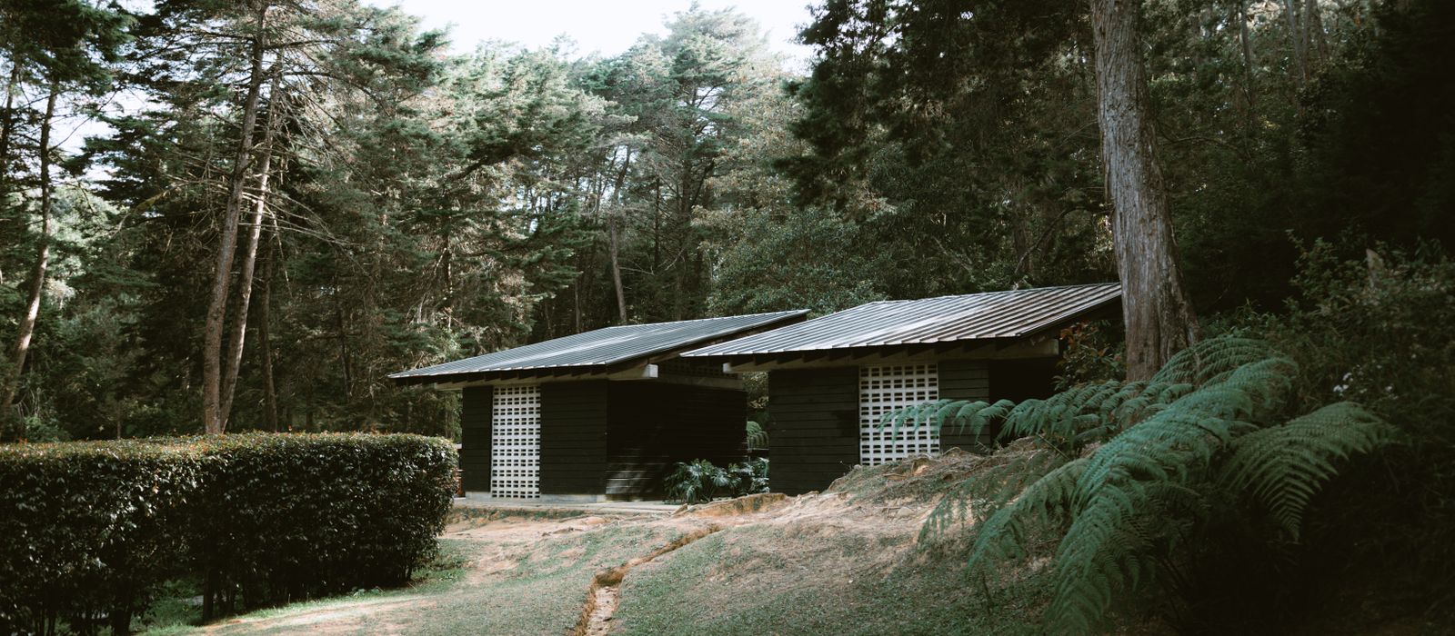 Cabaña de madera con porche entre árboles