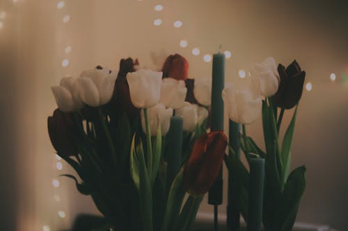 Immagine gratuita di bouquet, candele di cera, celebrazione