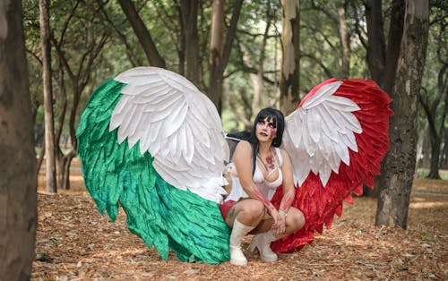 Kostnadsfri bild av ängel, cosplay, flagga