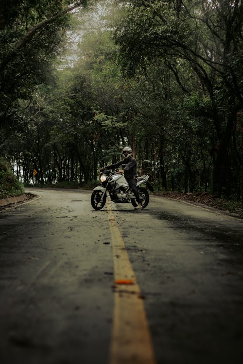 Foto profissional grátis de árvores, asfalto, capacete