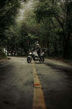 A motorcyclist rides through a serene forest road, perfect for adventure and travel exploration.