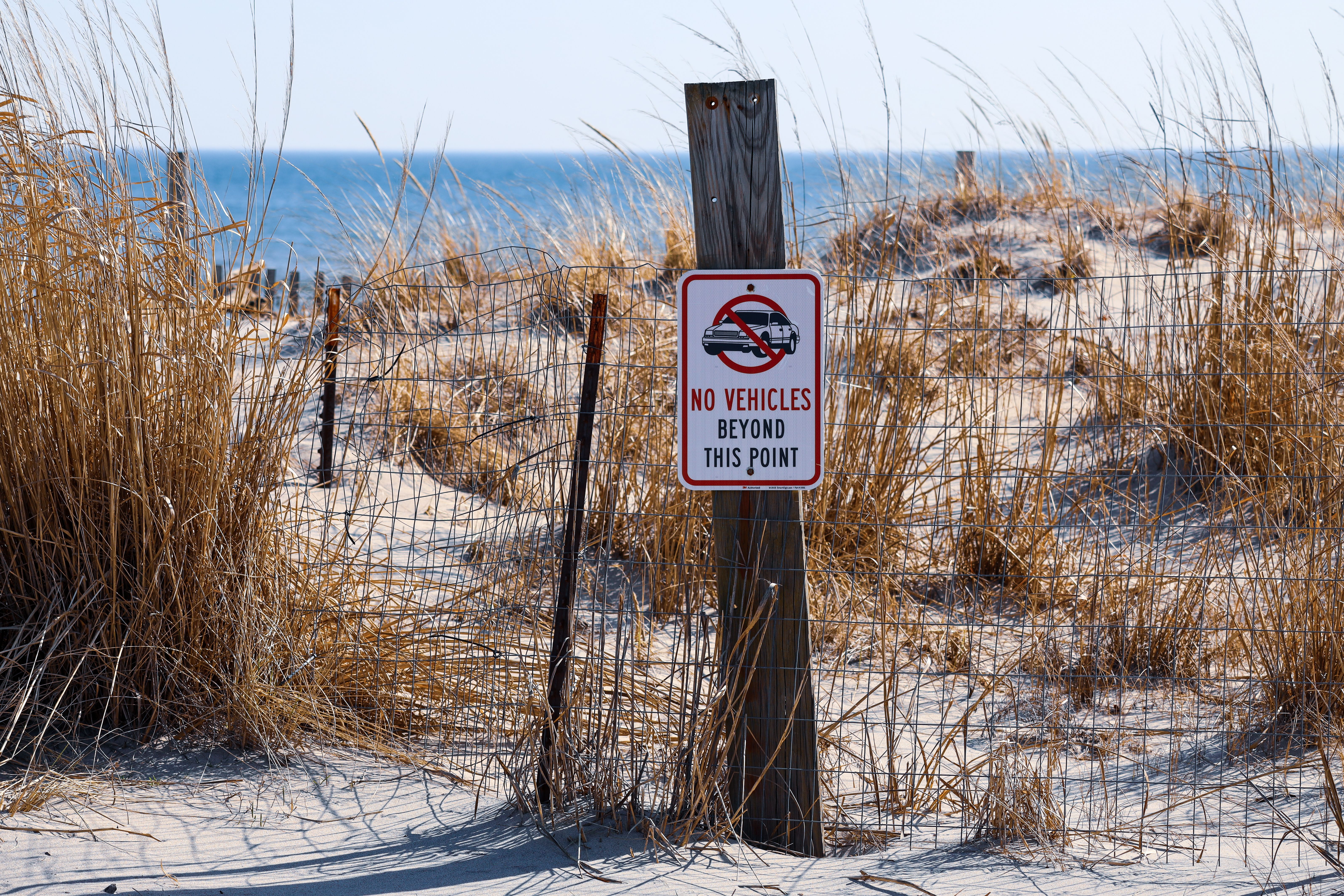 No vehicles allowed sign on a sandy beach with dry grass and ocean waves in the background.