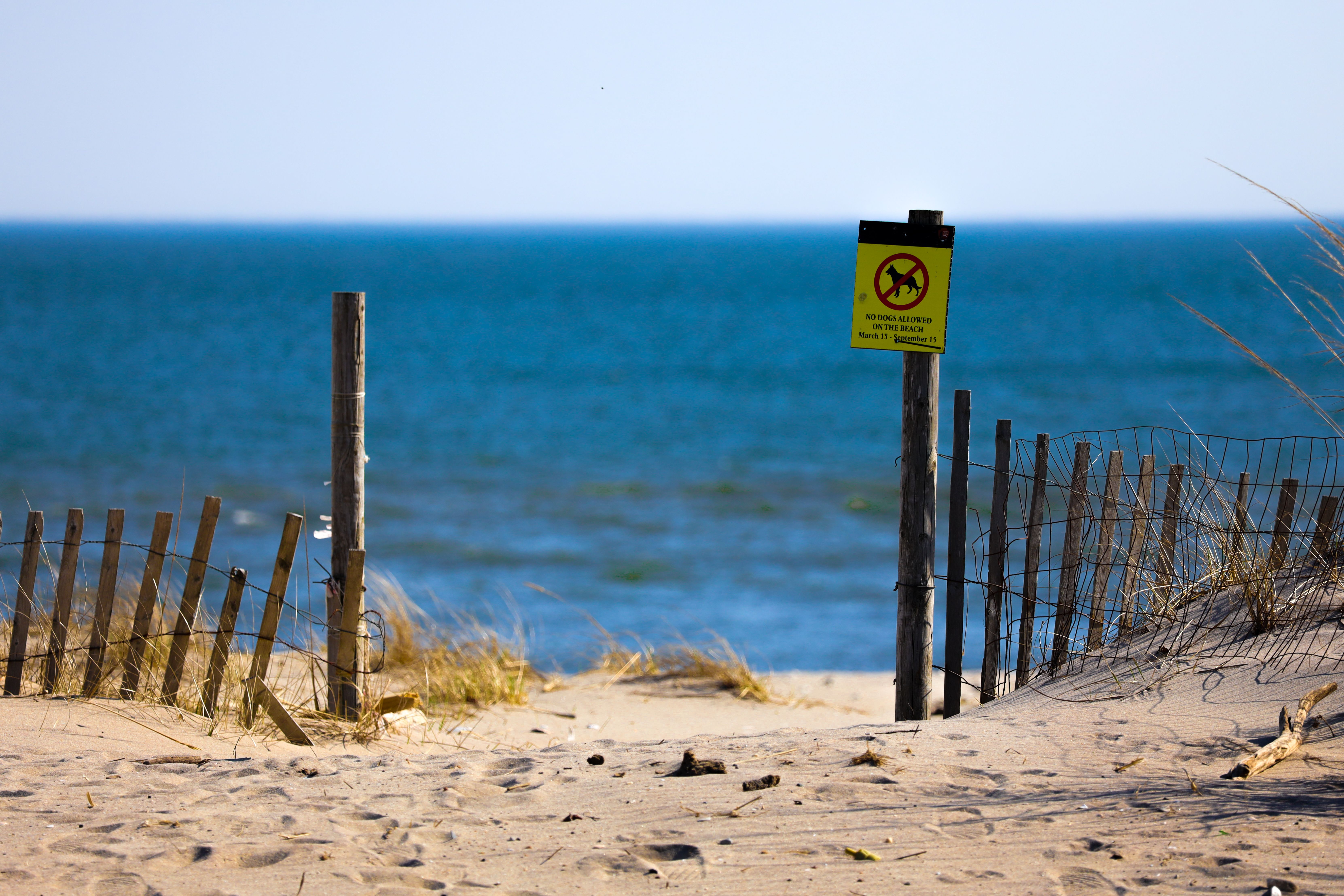 Montauk