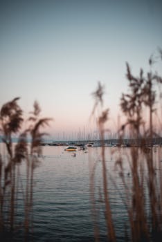 黄昏时分，码头上船只的宁静景色倒映在平静的水面上