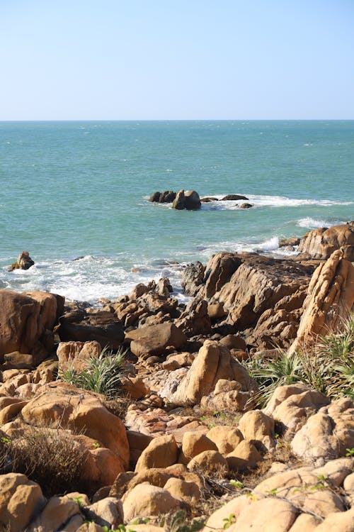 A rocky shoreline with a body of water in the background