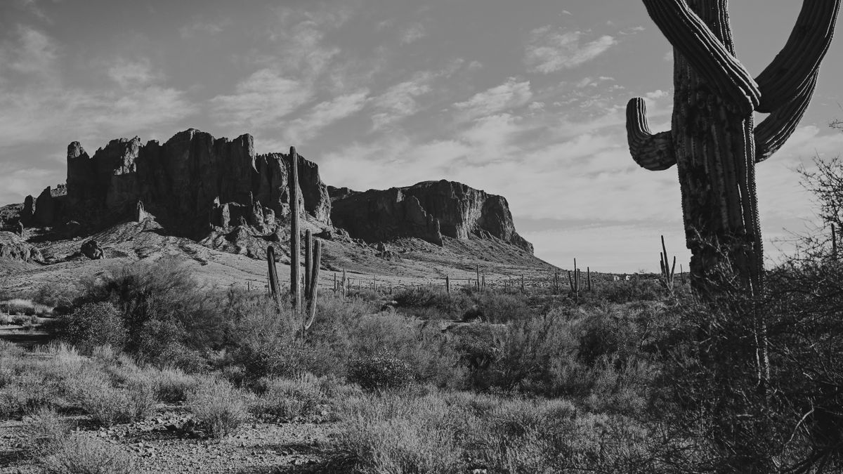 Best Freebies in Mesa, AZ: 2026 Local Guide