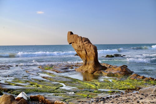 binh thuan, dalgalar, deniz içeren Ücretsiz stok fotoğraf