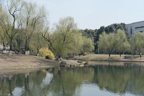 A park with a lake and trees near a building