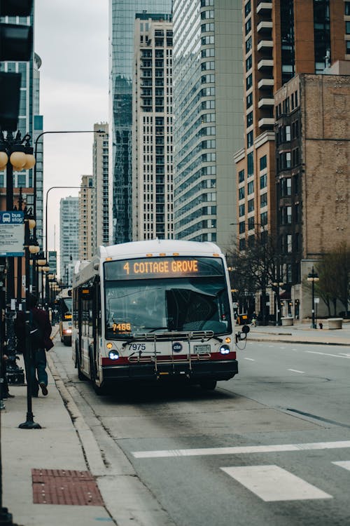 公車, 垂直拍攝, 城市 的 免費圖庫相片