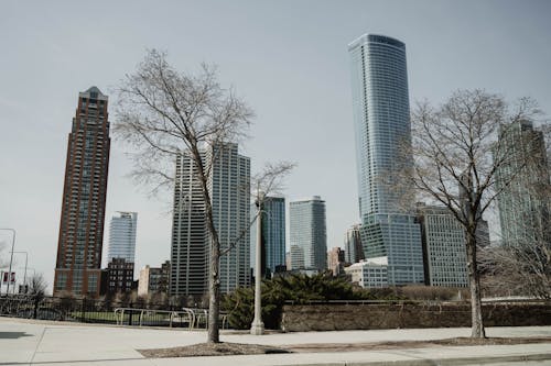 Kostenloses Stock Foto zu apartmentgebäude, bäume, chicago