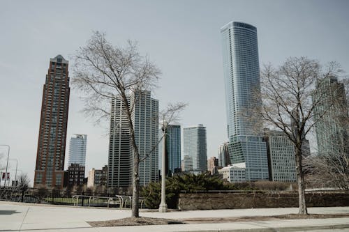 Gratis stockfoto met appartementsgebouwen, binnenstad, bomen