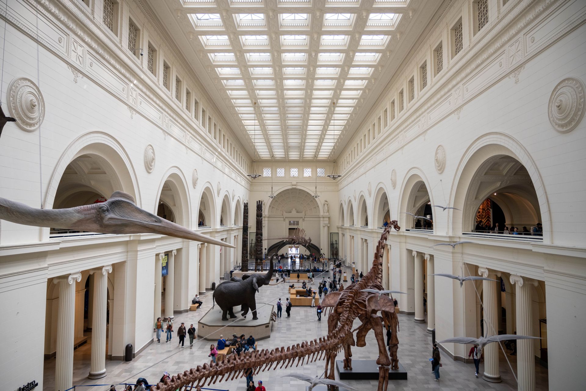 Natural History Museum