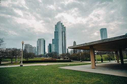 A park with a grassy area and a city skyline in the background