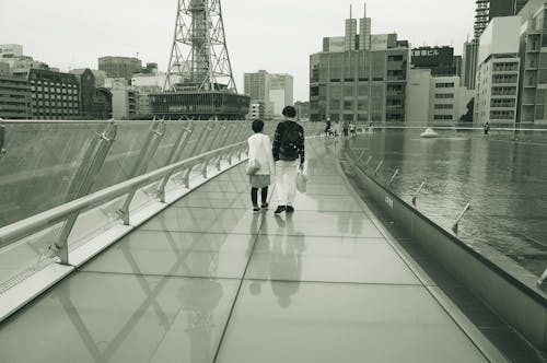 一對, 反射, 名古屋 的 免费素材图片