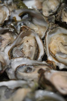 Close-up shot of fresh oysters at a seafood market in Venice, Italy.