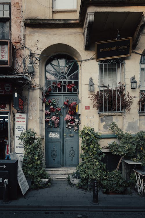 türkiye的, 伊斯坦堡, 傳統 的 免费素材图片